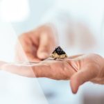 What is Moxibustion?